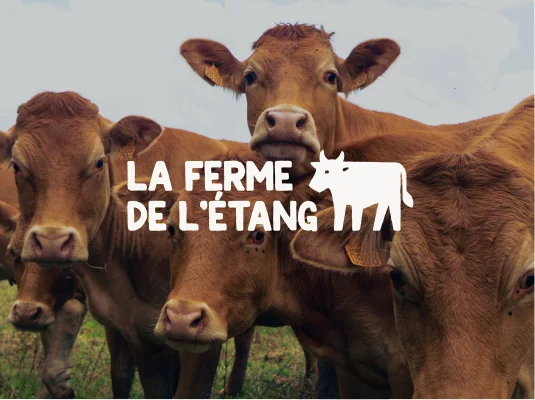Une identité visuelle et un site web pour une ferme en vente directe